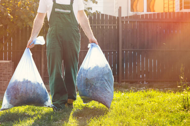Attic Cleanout Services in Leadville North, CO